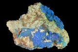 Vibrant Blue Chalcanthite - Mina Ojuela, Mexico #136851-1